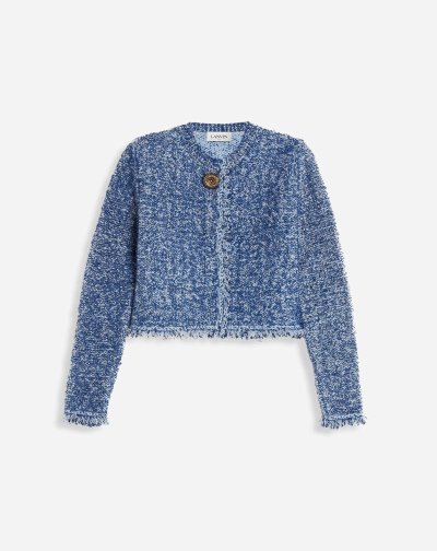 Kardigán Lanvin Cropped Cardigan Damske Svetlo Modre | SK47971